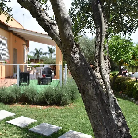 Trinacria Holiday home